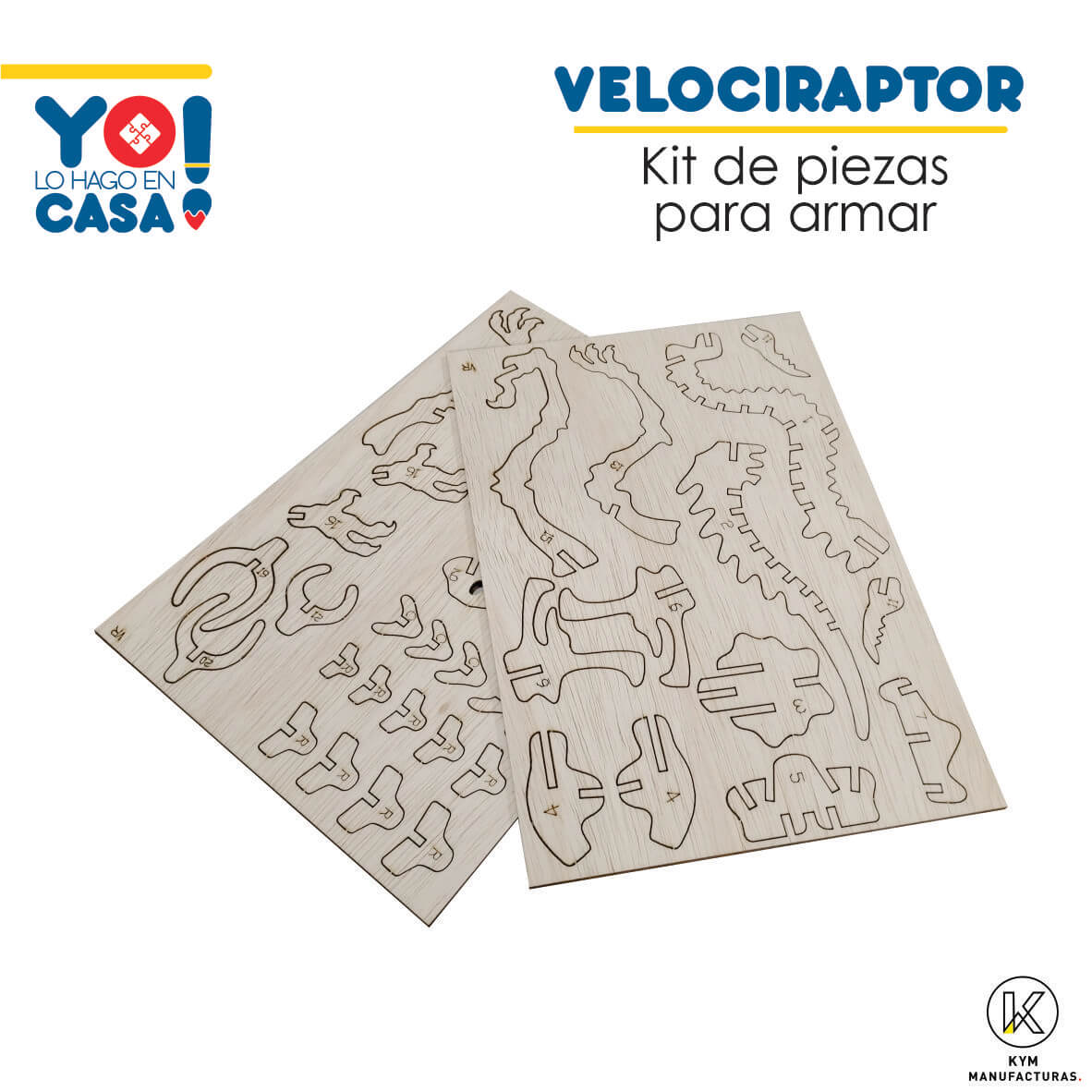 Velociraptor - Image 2